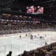 Coyotes Avalanche